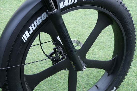 Emmo IKong Pro Long Range Fat Tire Ebike
