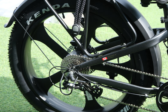 Vegar Pro Electric Bike – 750W Powerful Fat Tire E-Bike