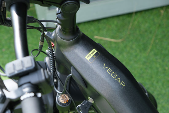 Vegar Pro Electric Bike – 750W Powerful Fat Tire E-Bike