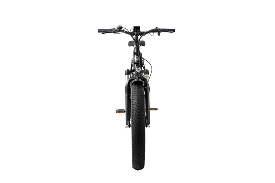 Emmo E-Mini Pro Ebike Electric Bicycle 20" Fat Tire Step Thru Style